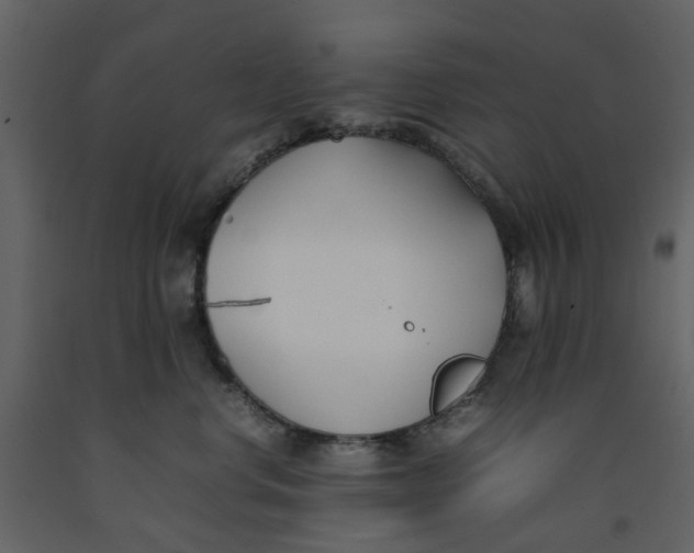 X0000092240668200710051240