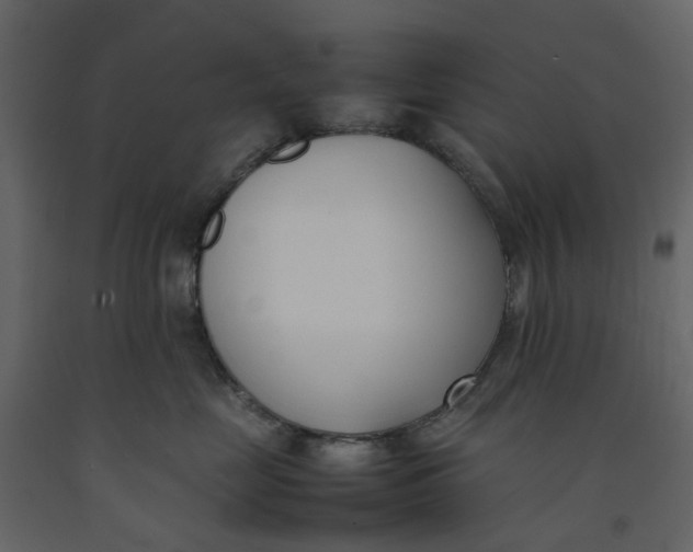 X0000092240669200710051240