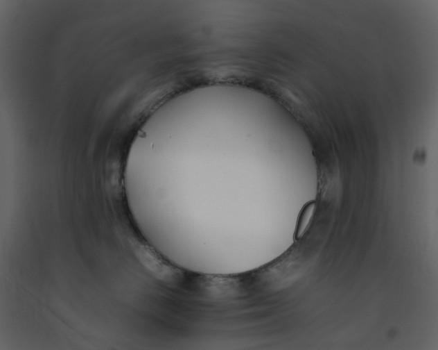 X0000092240670200710051240