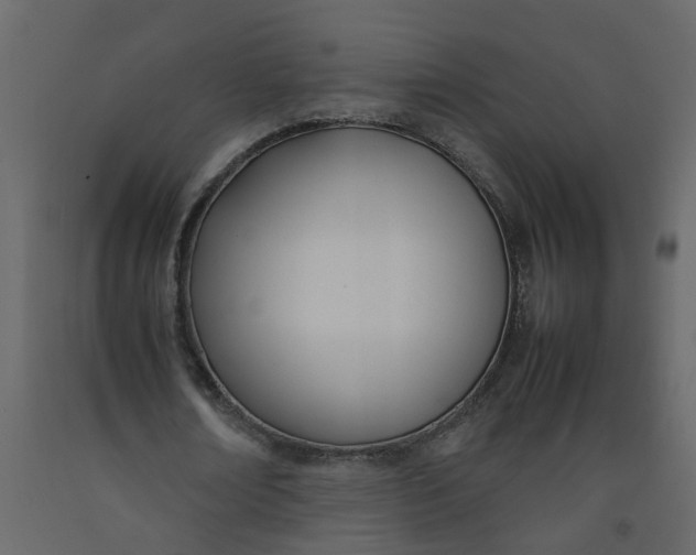 X0000092240674200710051239