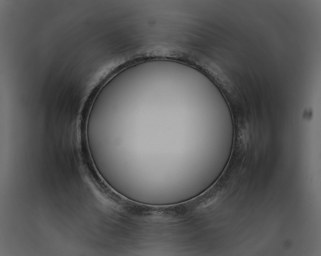 X0000092240678200710051239