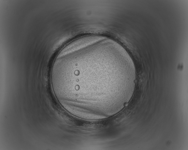 X0000092240679200710051239