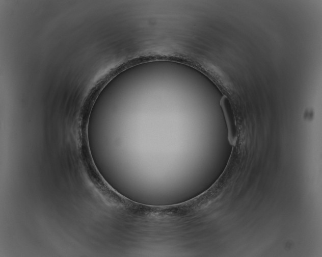 X0000092240680200710051239