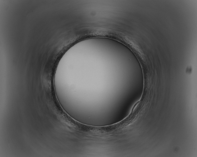 X0000092240681200710051239