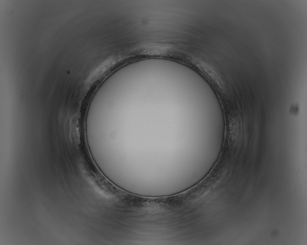 X0000092240682200710051239