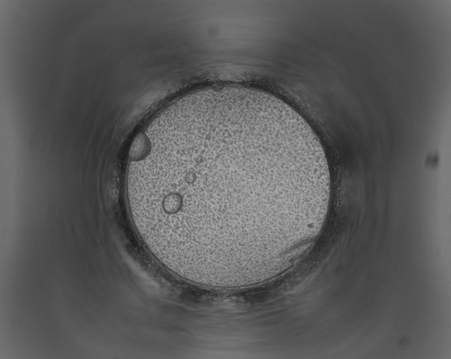 X0000092240683200710051239