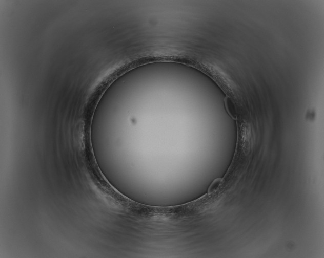 X0000092240684200710051239