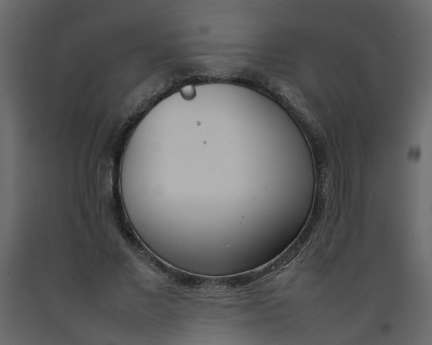 X0000092240685200710051239