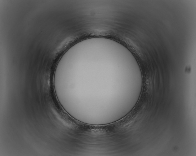 X0000092240686200710051239