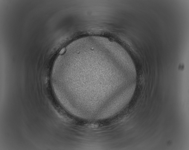 X0000092240687200710051239