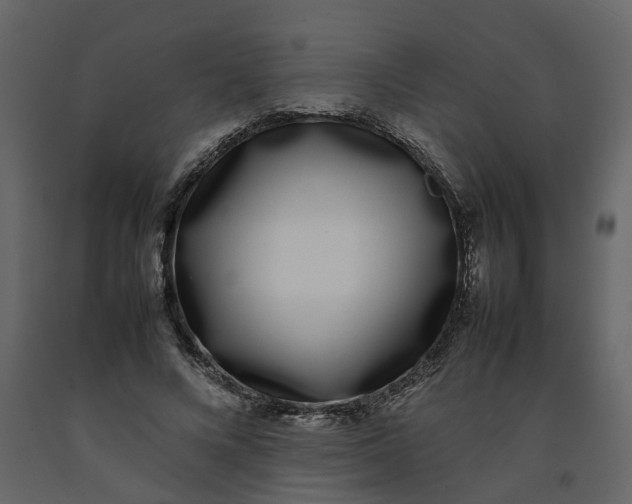 X0000092240688200710051239