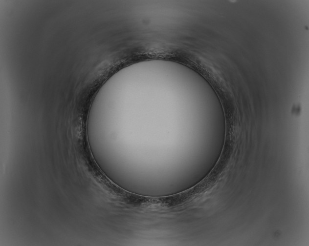 X0000092240689200710051239