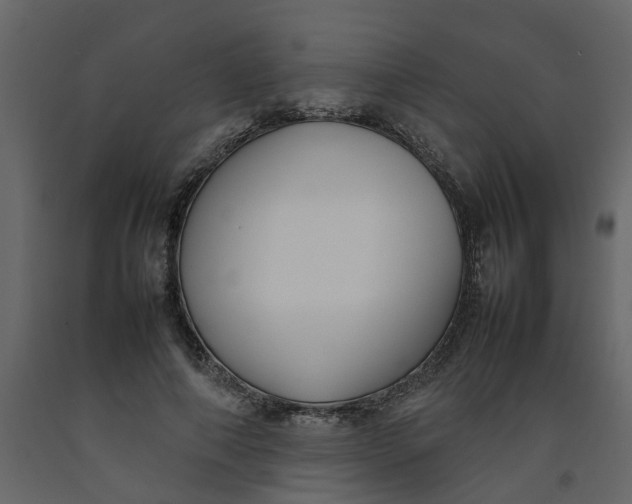 X0000092240690200710051239