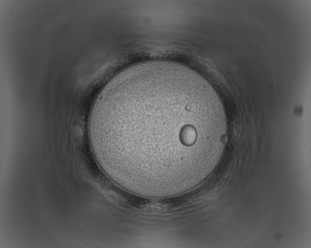 X0000092240691200710051239