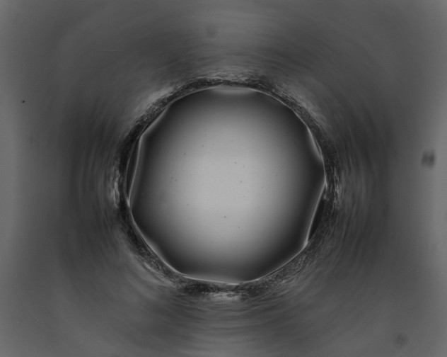 X0000092240692200710051239