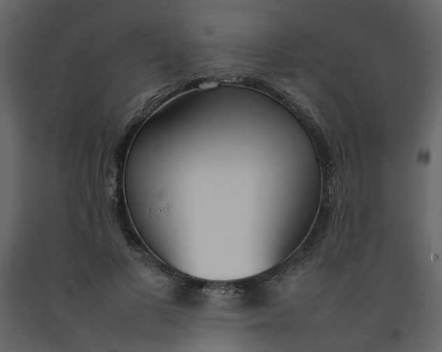 X0000092240693200710051239