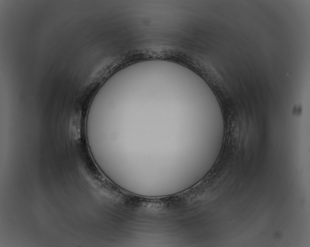 X0000092240694200710051239