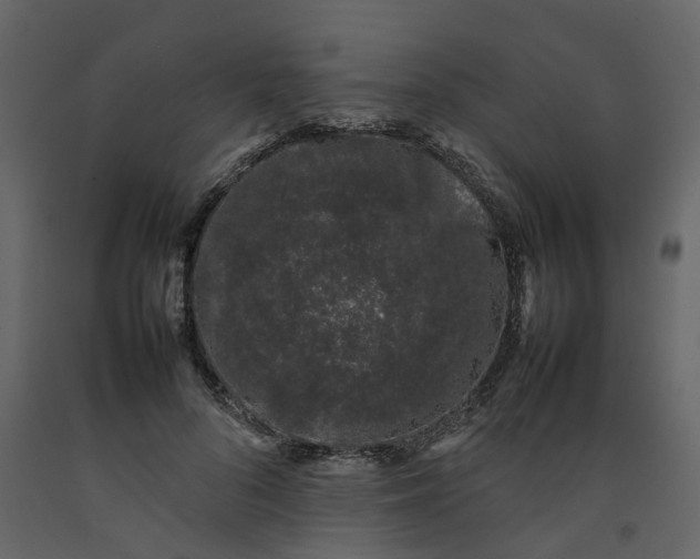 X0000092240696200710051239