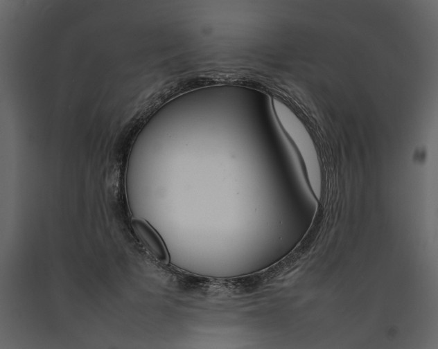 X0000092240697200710051239