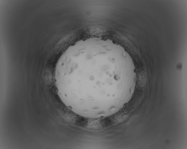 X0000092240705200710051239