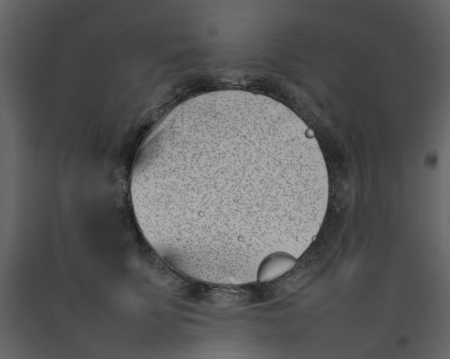 X0000092240707200710051239