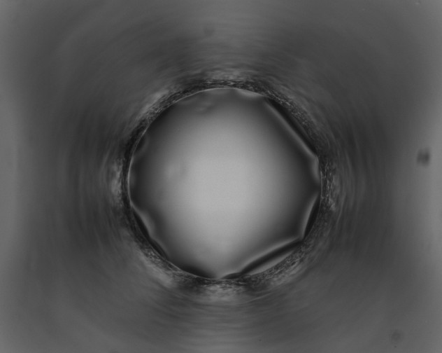 X0000092240708200710051239