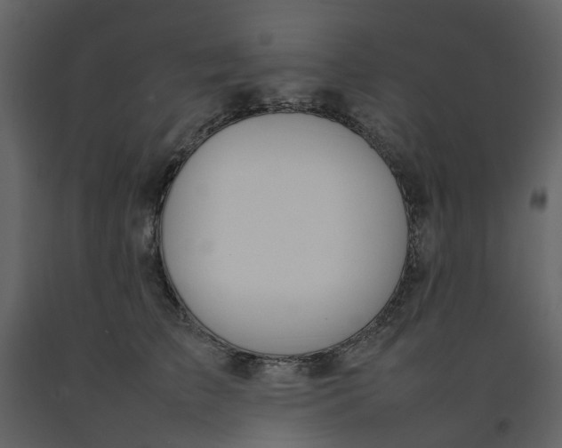 X0000092240709200710051239