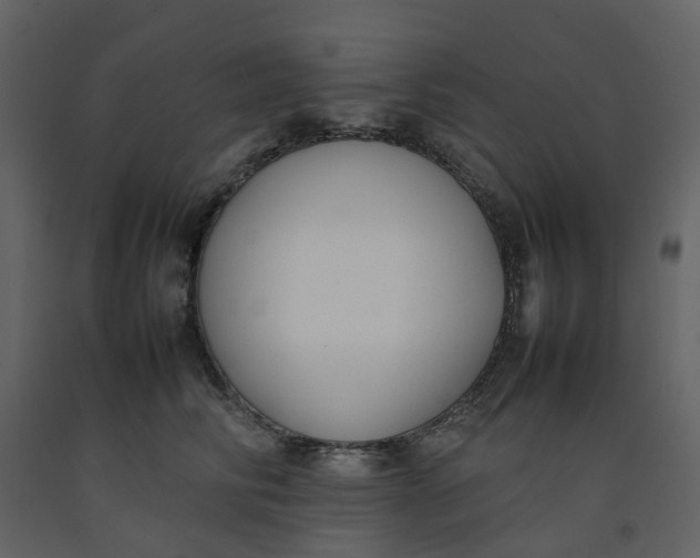 X0000092240710200710051239