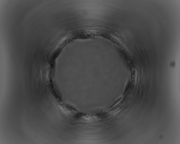 X0000092240712200710051239