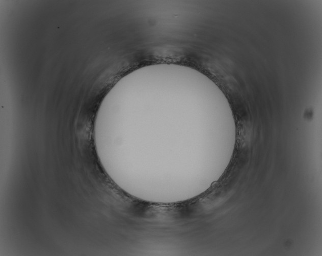 X0000092240713200710051239