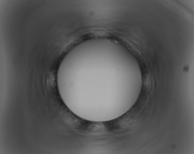 X0000092240715200710051239