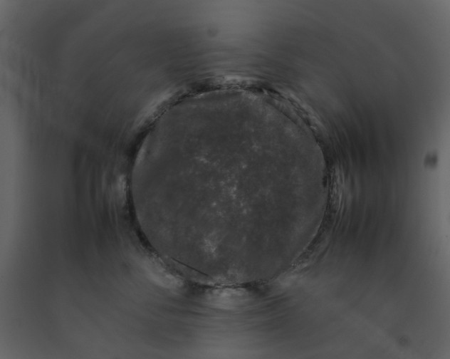 X0000092240716200710051239