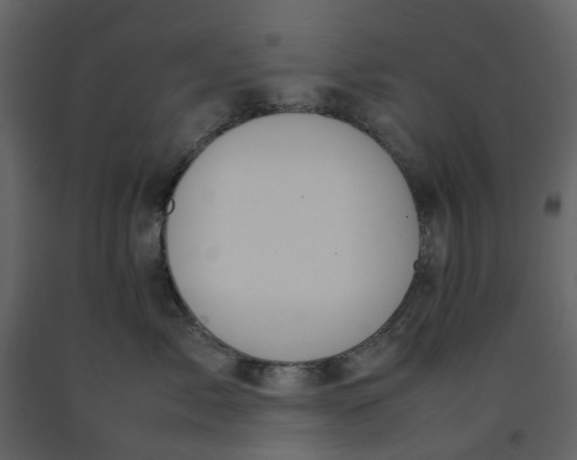 X0000092240717200710051239