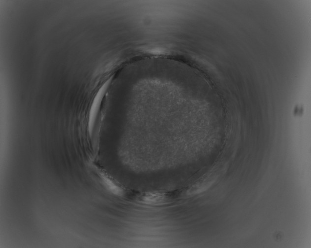 X0000092240720200710051239