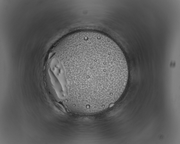 X0000092240721200710051238