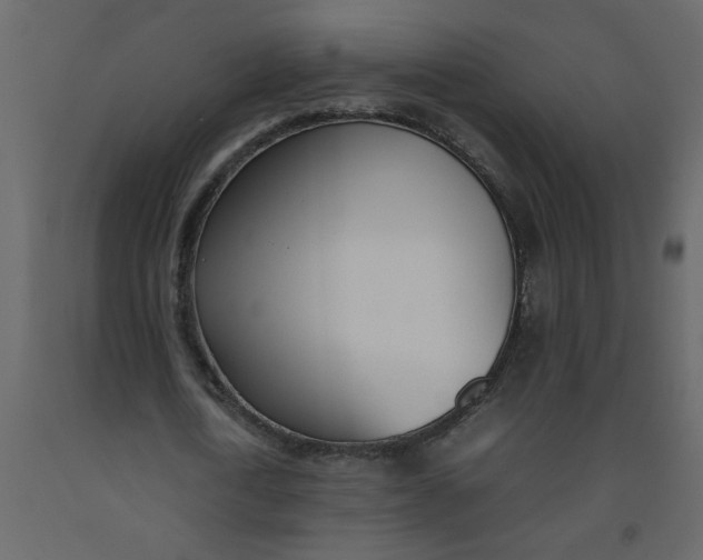 X0000092240722200710051238