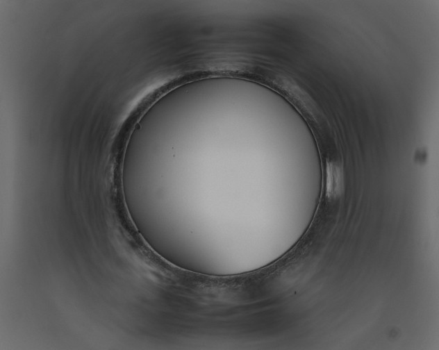 X0000092240723200710051238