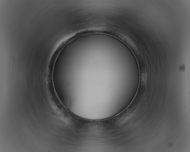 X0000092240724200710051238