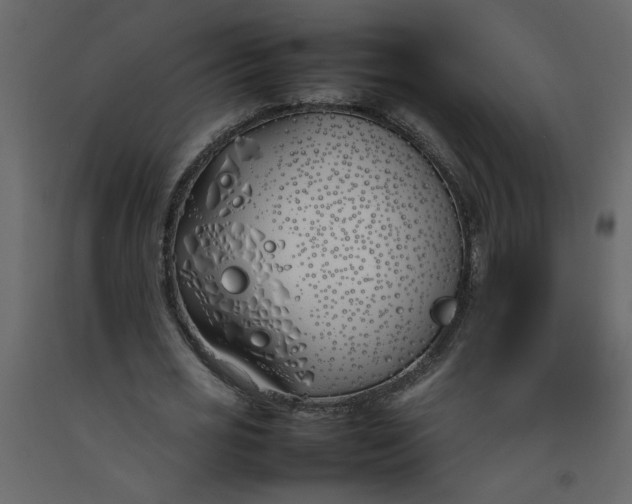 X0000092240725200710051238