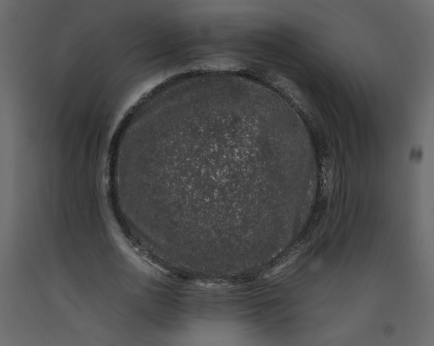 X0000092240726200710051238