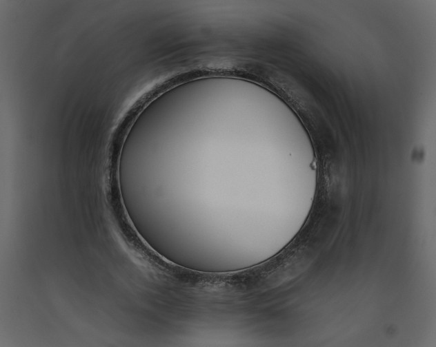 X0000092240728200710051238