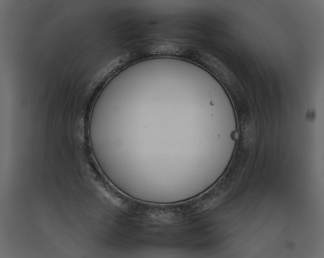 X0000092240729200710051238