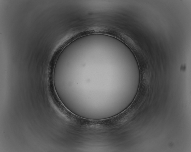 X0000092240730200710051238