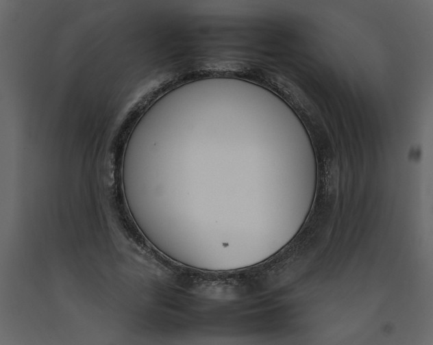 X0000092240731200710051238