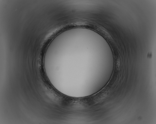 X0000092240732200710051238