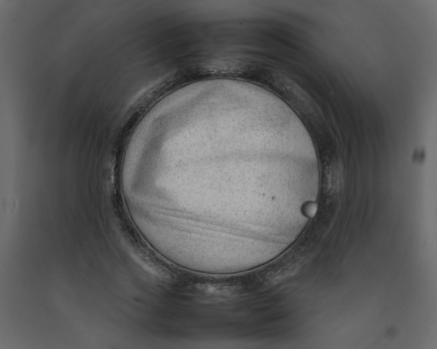 X0000092240733200710051238