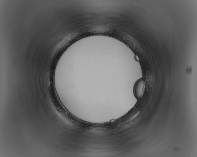 X0000092240734200710051238