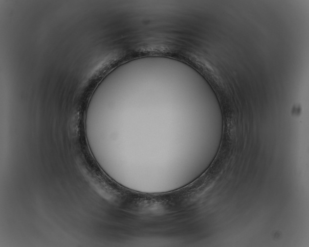 X0000092240735200710051238