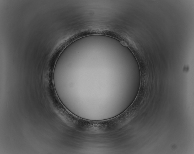 X0000092240736200710051238