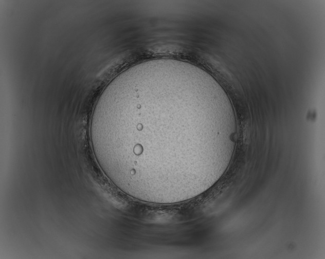 X0000092240737200710051238